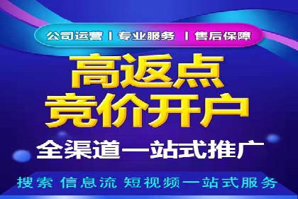 推广竞价实战经验：成功案例分享与启示
